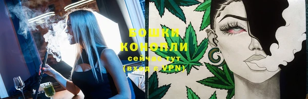 PSILOCYBIN Арсеньев