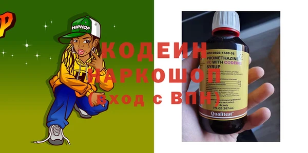 хмурый Ельня