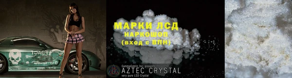 прущие грибы Балахна