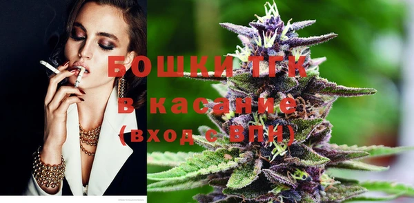 прущие грибы Балахна