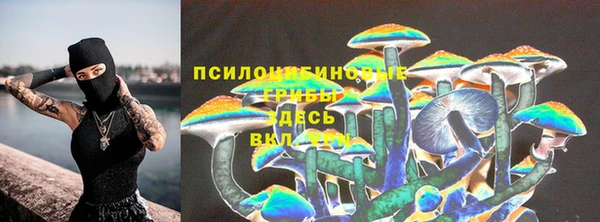 apvp Армянск