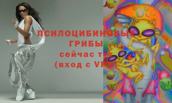амф Аркадак