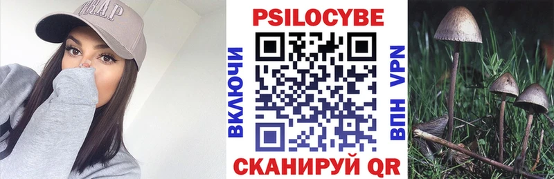 Псилоцибиновые грибы GOLDEN TEACHER  сколько стоит  Кемерово 