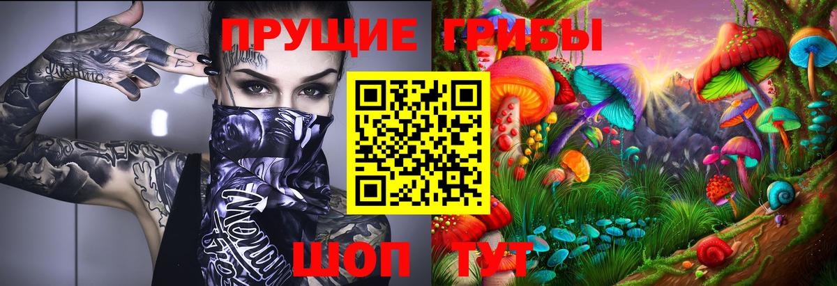 Псилоцибиновые грибы GOLDEN TEACHER  Вход с VPN  Галлюциногенные грибы Cubensis  Кемерово 
