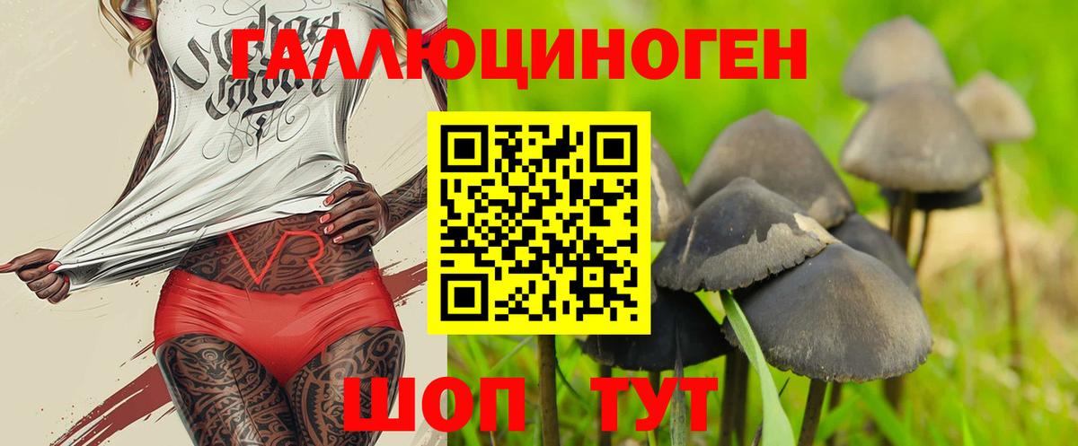 Псилоцибиновые грибы Cubensis Кемерово